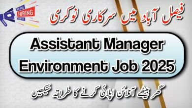 Assistant Manager Environment Job in Faisalabad